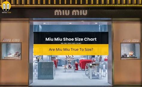 miu miu fernbedienung kaputt|miu miou size chart.